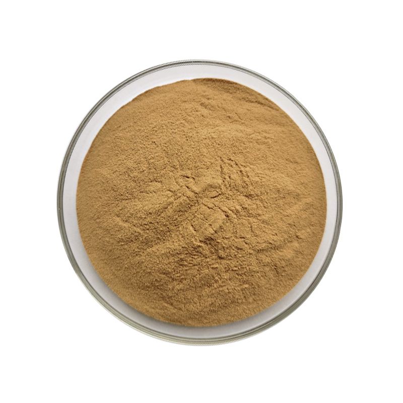 Adhatoda Vasica Extract Powder 2