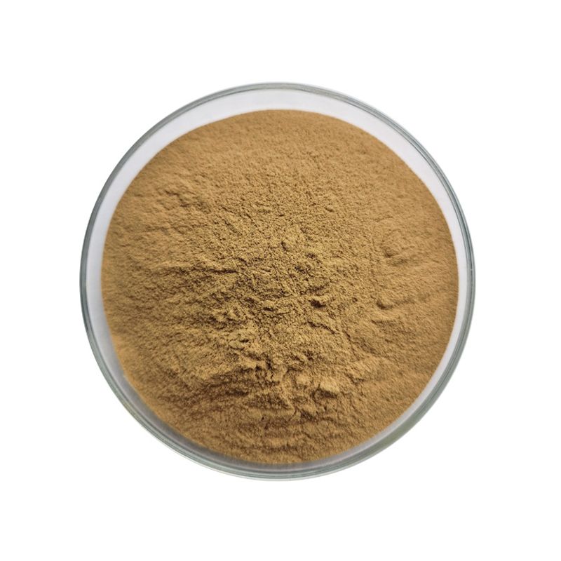Adhatoda Vasica Extract Powder 4