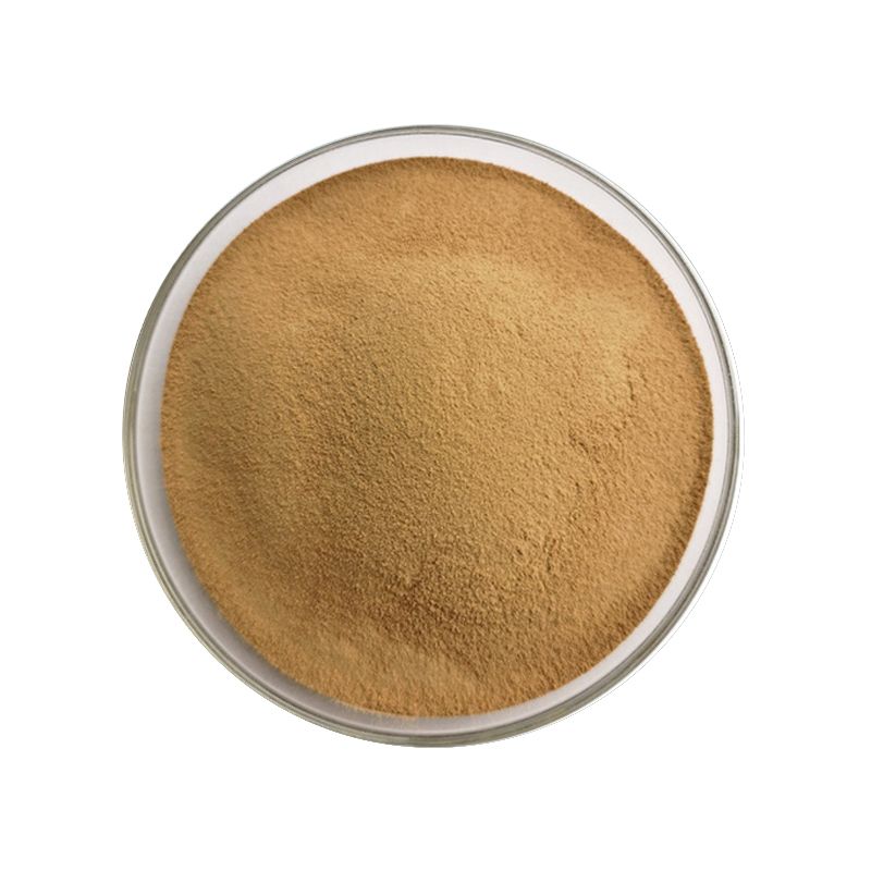 Adhatoda Vasica Extract Powder 5