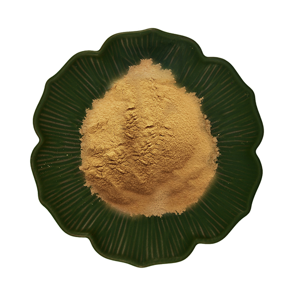 Astragalus-Root-Extract-9