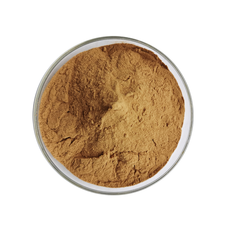 Buchu Leaf Extract  (2)