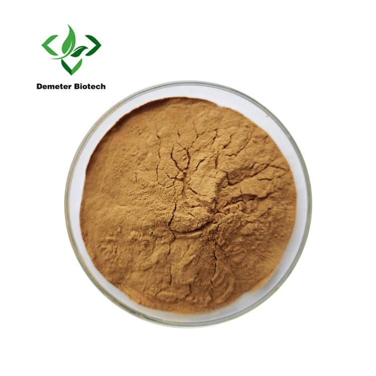 Chanca Piedra Extract Powder (1)