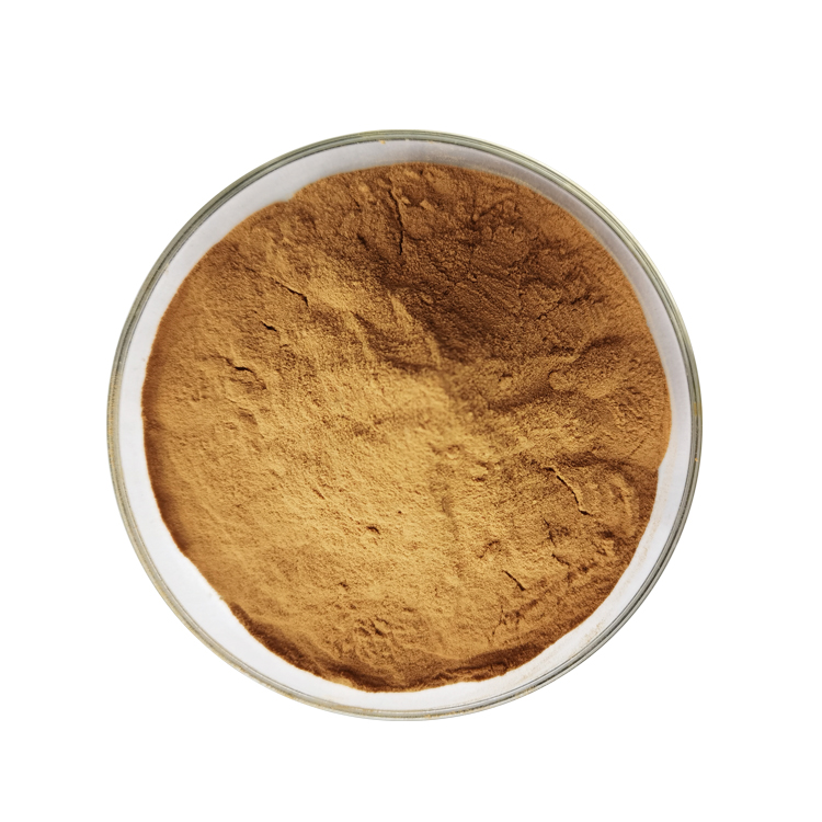 Chanca Piedra Extract Powder (2)