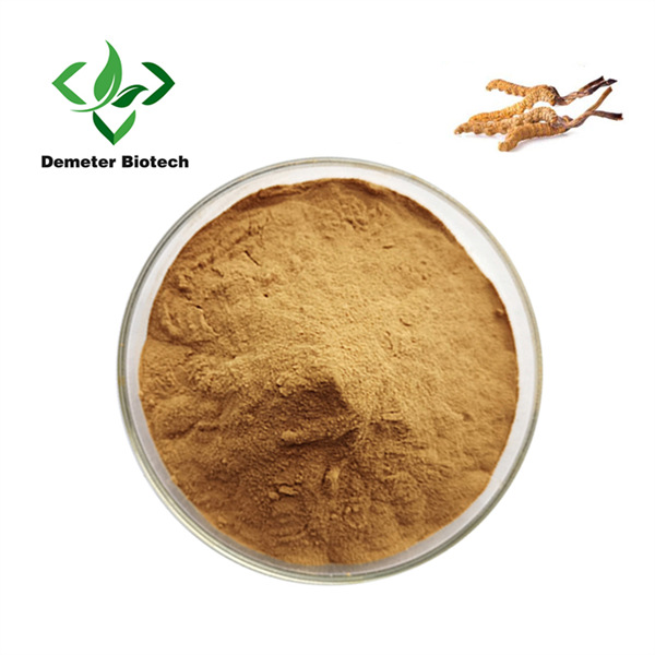 Cordyceps Militaris Extract (1)