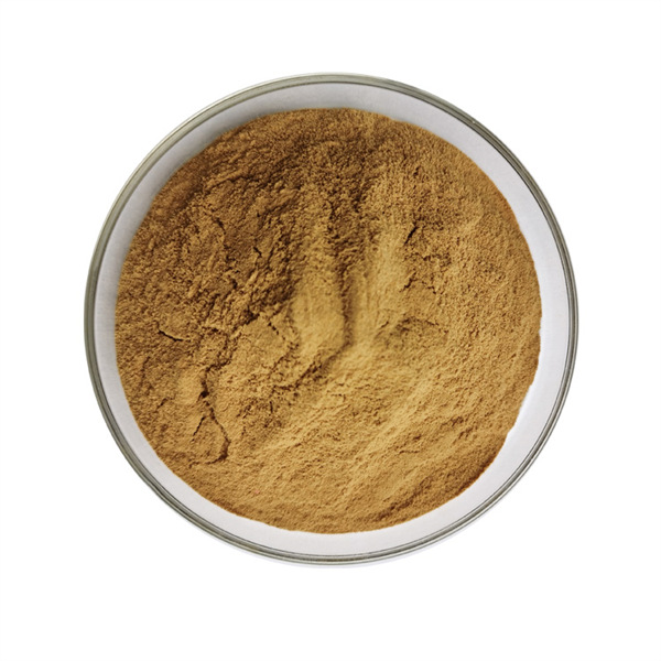 Cordyceps Militaris Extract (2)