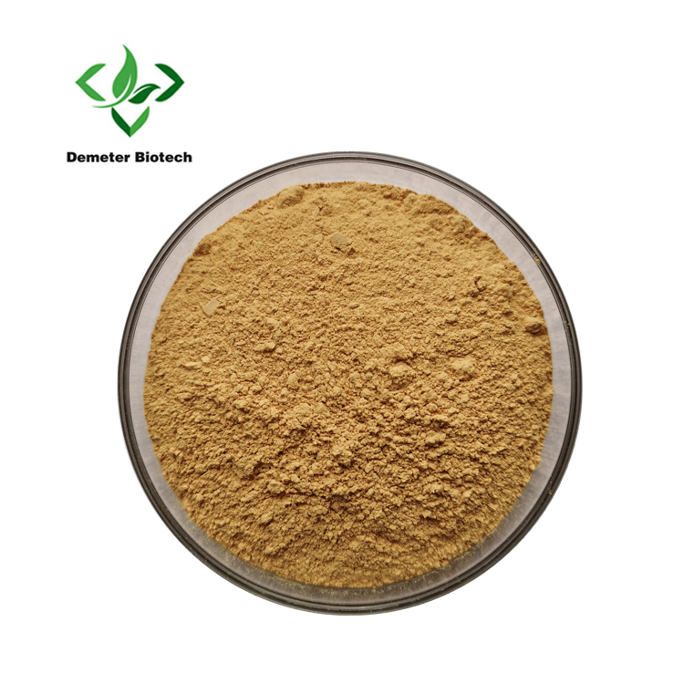 Cumin Powder (1)