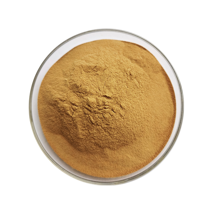 Cumin Powder (2)