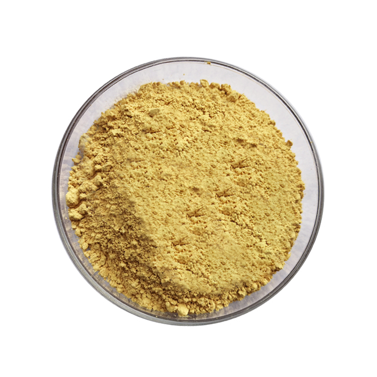 Cynomorii Extract (3)