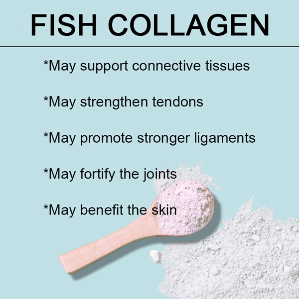 Ħut-Collagen--7