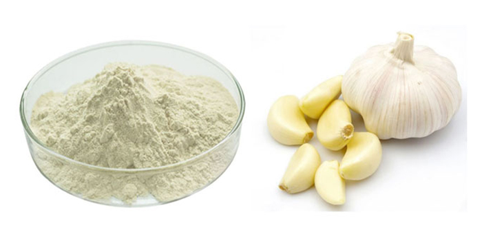Garlic-Extract-4