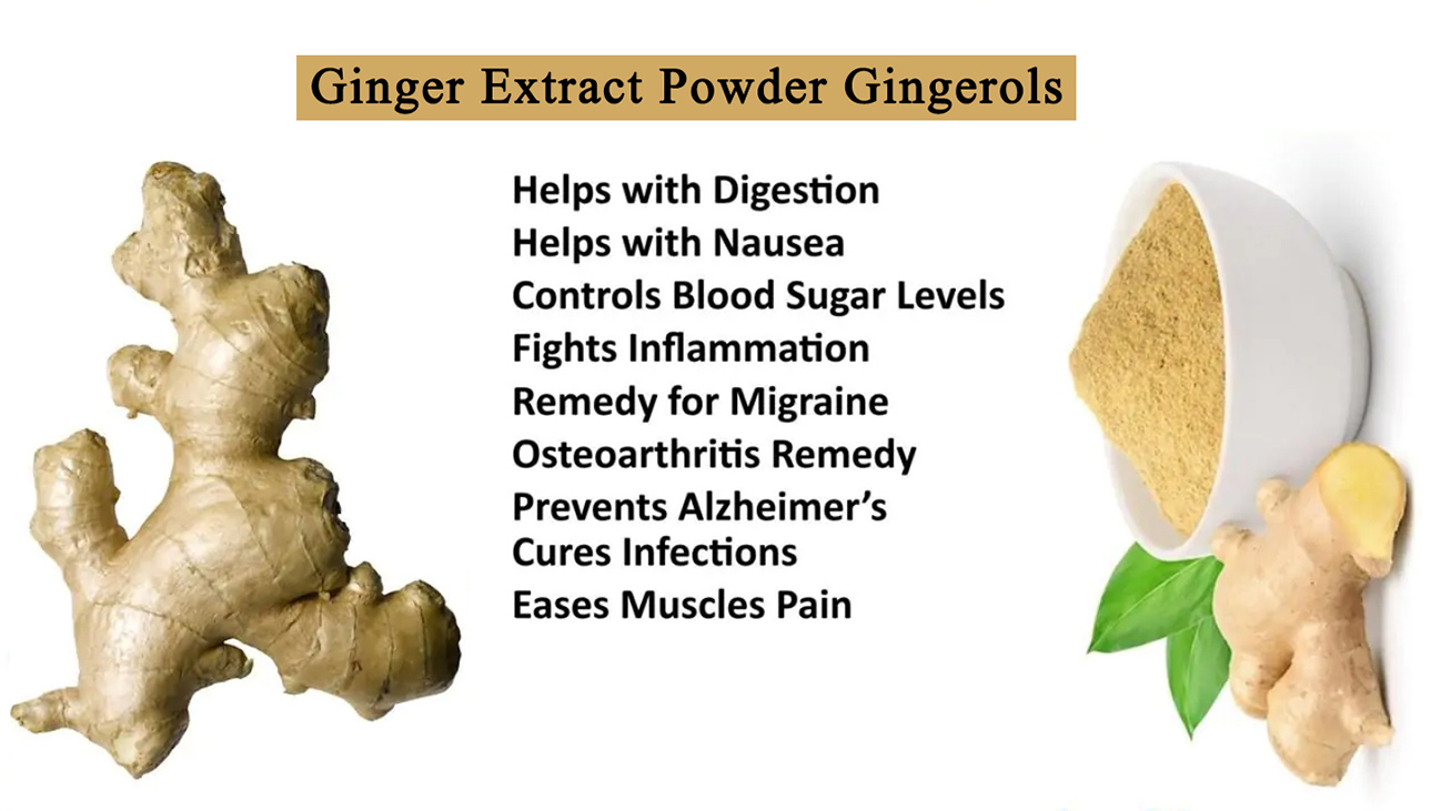 Ginger-Extract-7