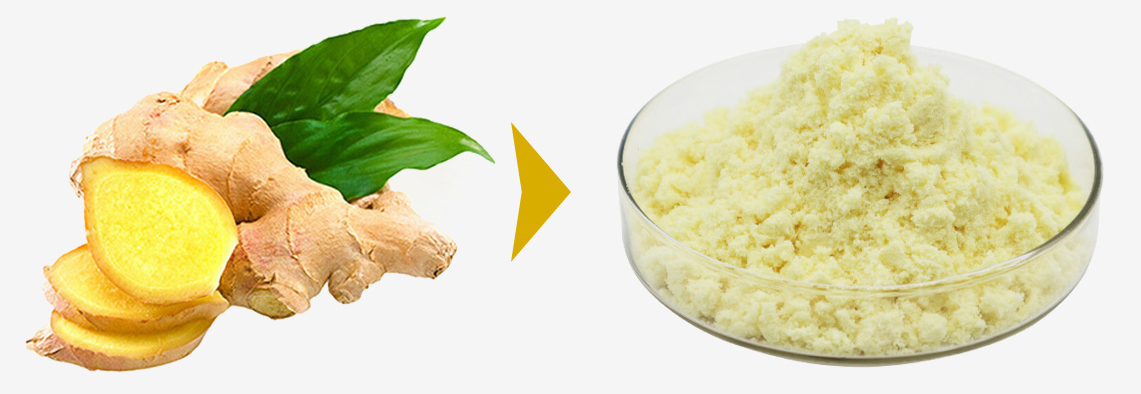 Ginger-Extract-8