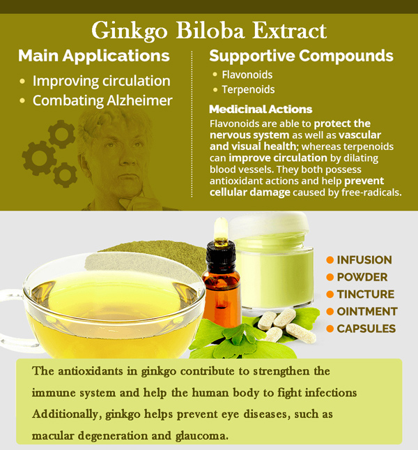 Ginkgo-Biloba-Extrakt-7