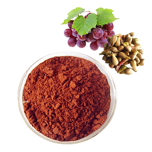 Grape-Seed-Extract-9