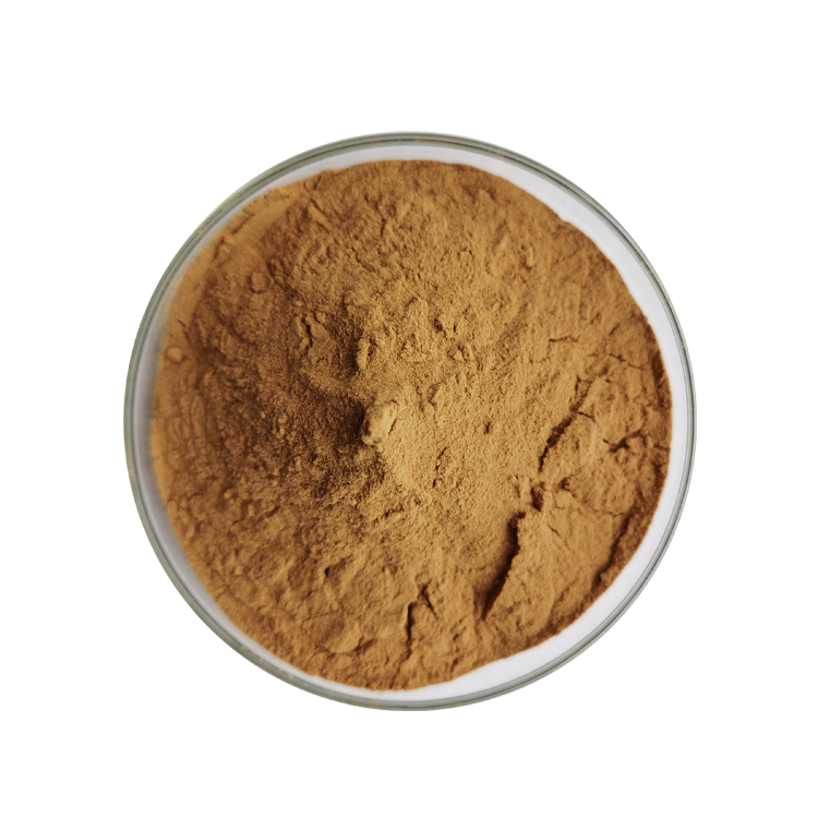 Imperata Root Extract (3)