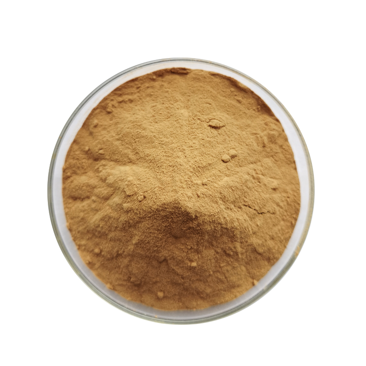 Instant Chrysanthemum Tea Powder (3)