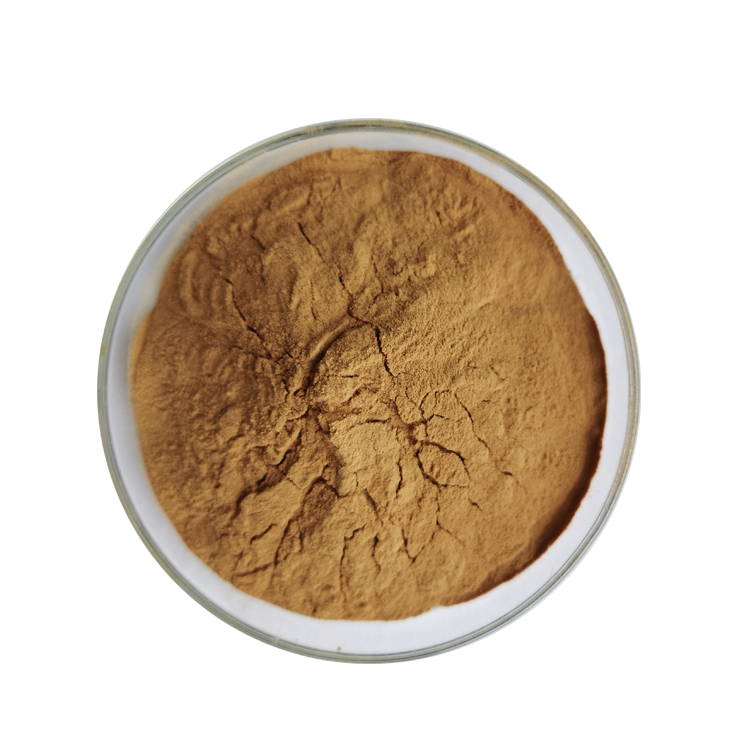 Instant Green tea extract Powder (2)