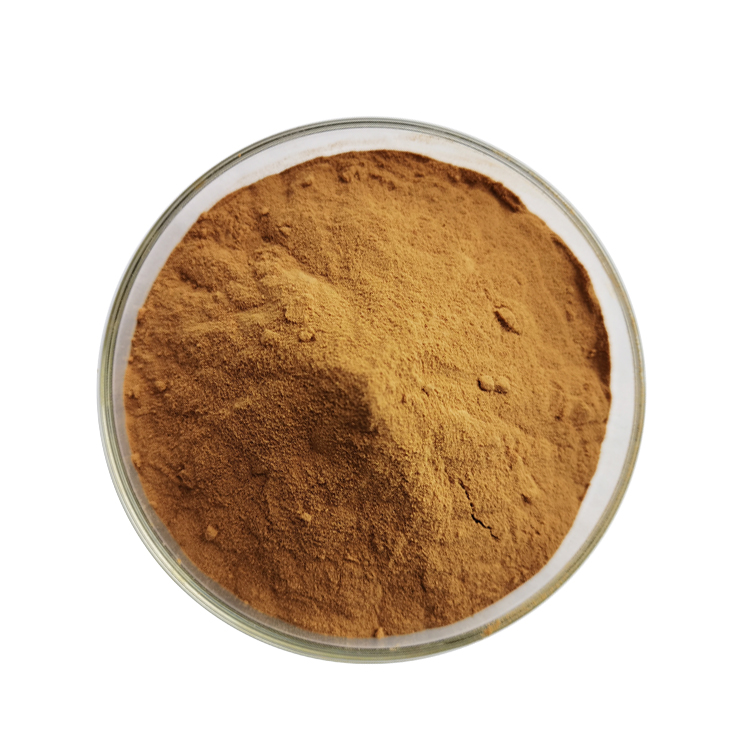 Instant Green tea extract Powder (3)