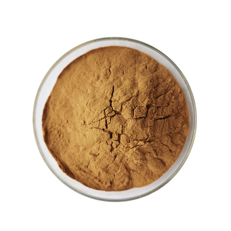 Instant Oolong tea extract Powder (2)