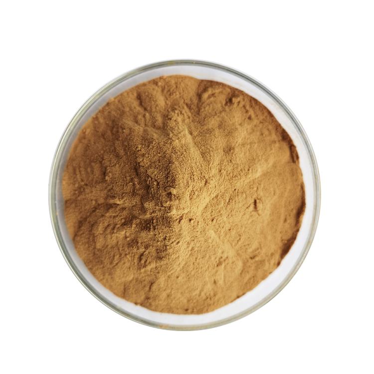 Instant Oolong tea extract Powder (3)