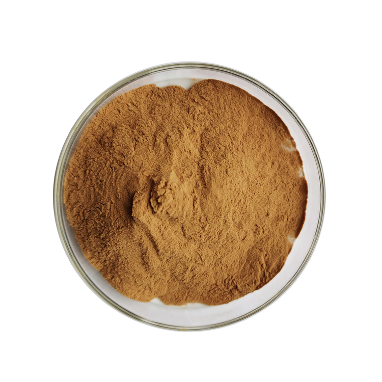 Instant Puer Tea extract Powder (2)