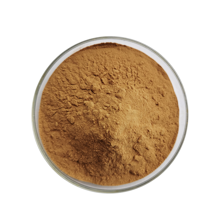 Instant Puer Tea extract Powder (3)