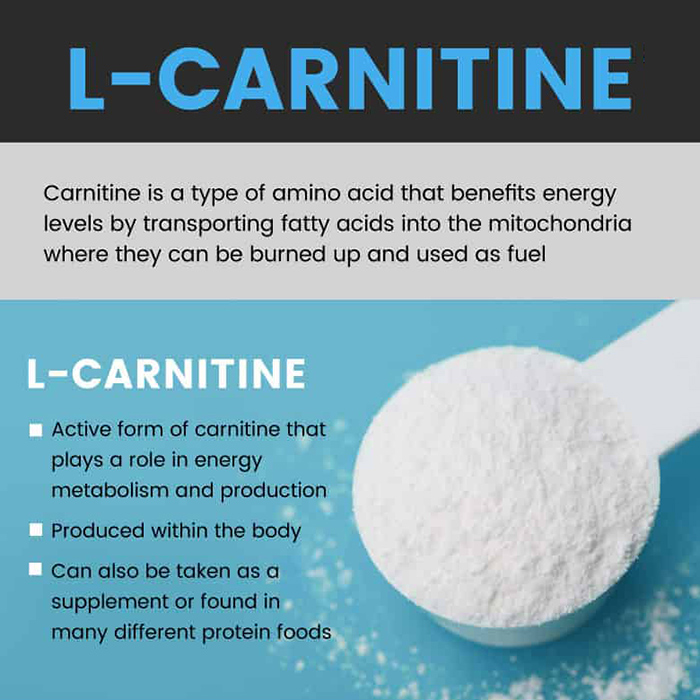 L-карнозин-6