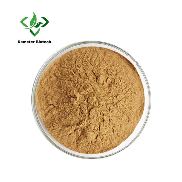 Loquat Leaf Extract (1)