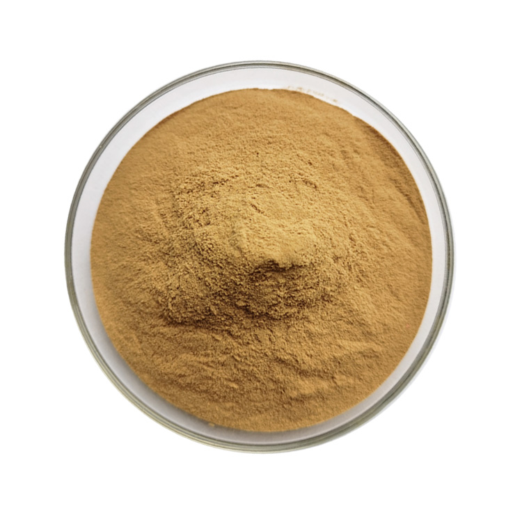 Murraya Extract Powder  (2)