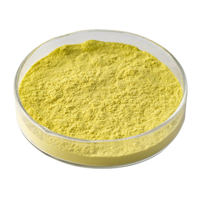 Natirèl-Sophora-Japonica-Extract-Powder-98-Quercetin-9