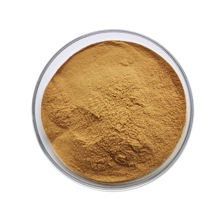 Origanum vulgare Extract (2)