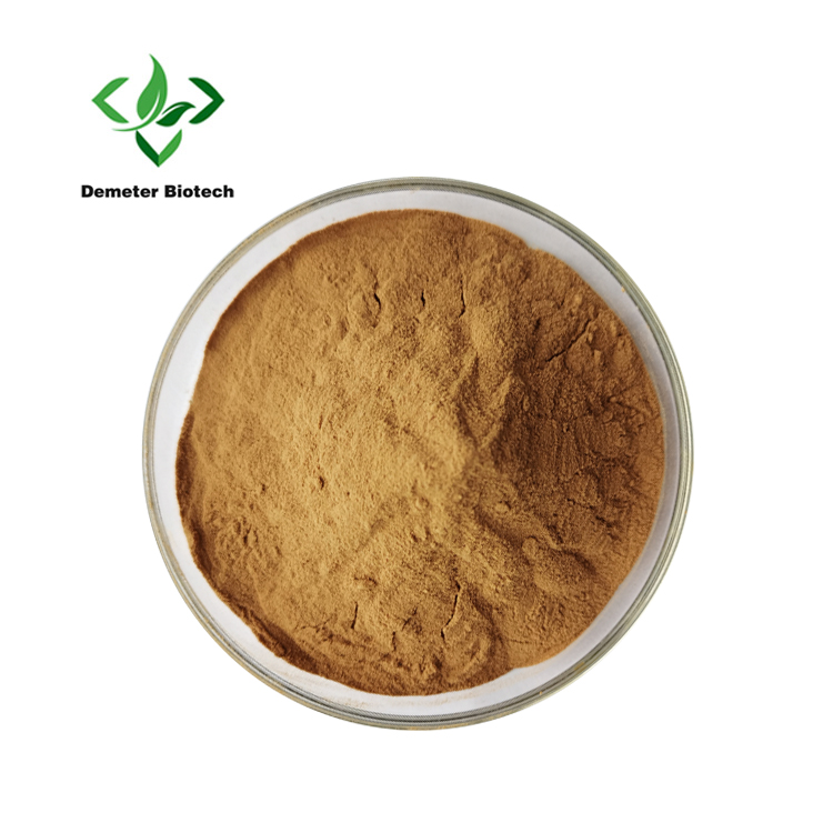 Rhubarb Root Extract Powder (1)