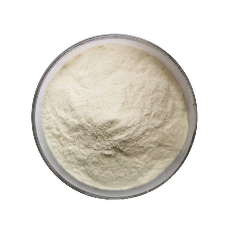 Testis Peptide Powder (2)