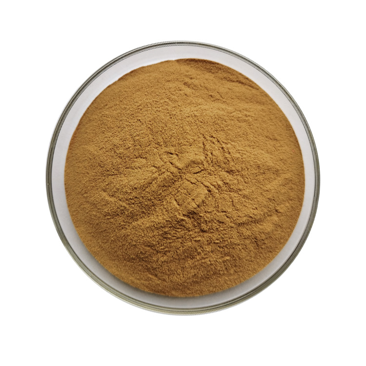 Tinospora Cordifolia Extract Powder (2)