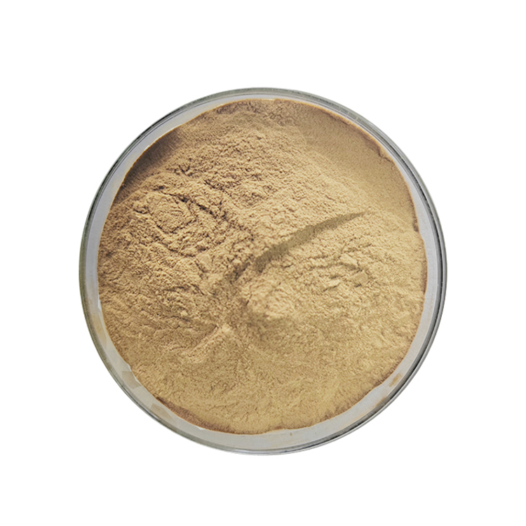 Tremella Fuciformis Extract (2)