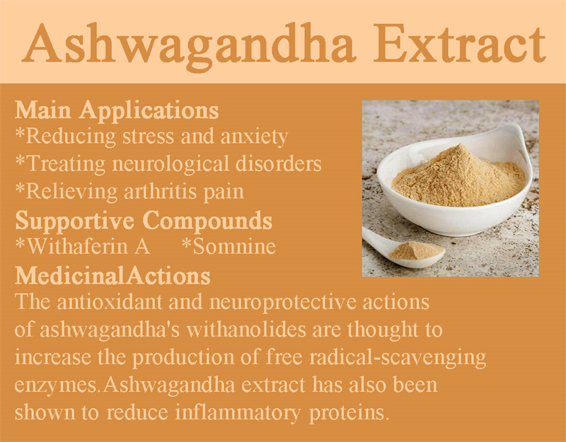 ashwagandha экстракты 05