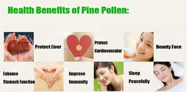 pine-pollen-6